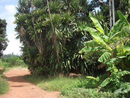 Domaine sacré des masques Le kpan